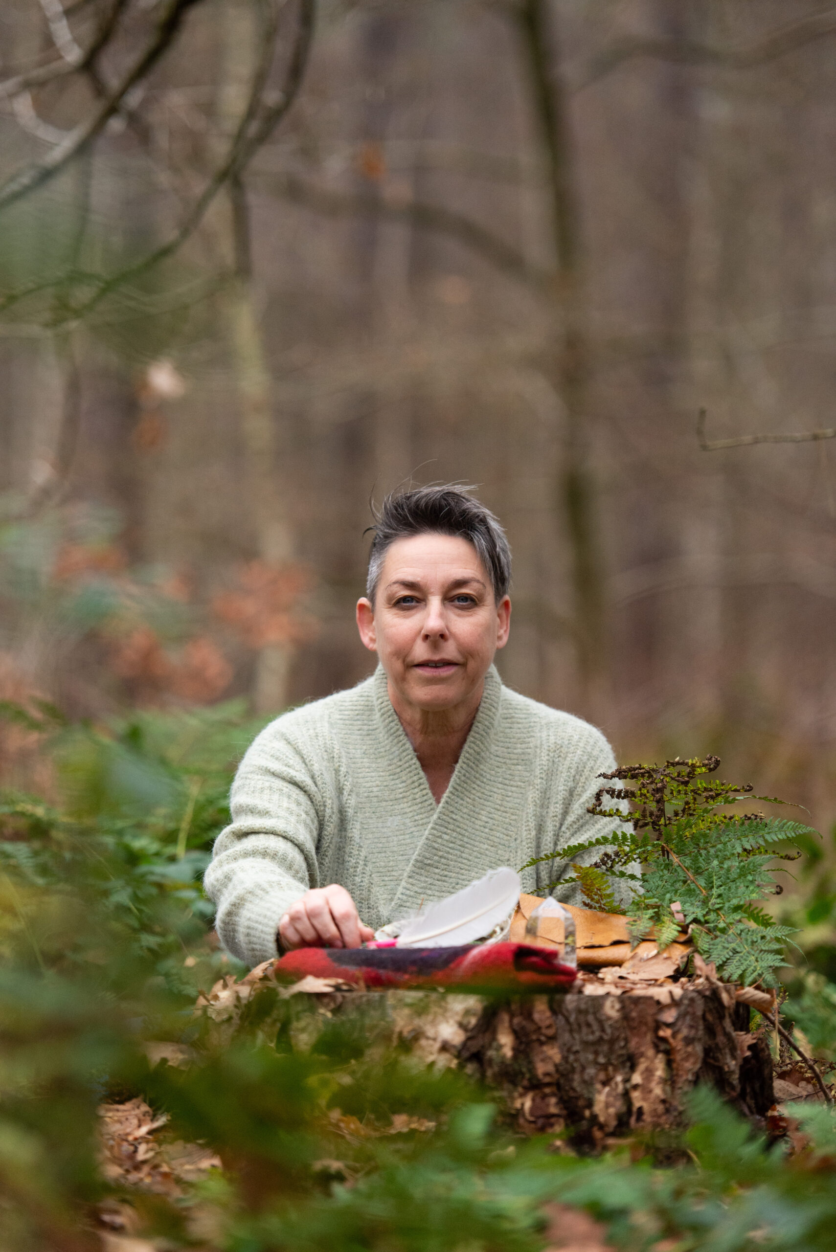 sjaminisme pelleberg